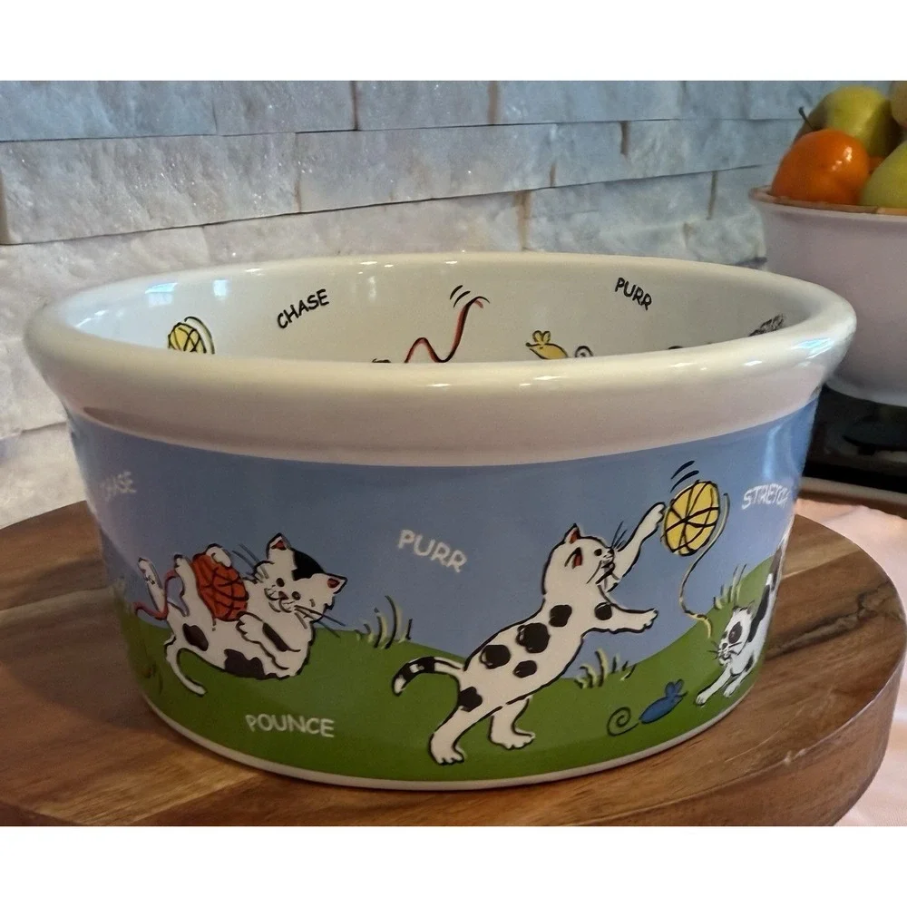 Cutie Cat Pet Water Food Bowl by Riviera Van Beers Signature Stoneware Rainbow